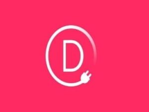 Divi Builder Elegant Themes Jedes Vorlagen-Plugin