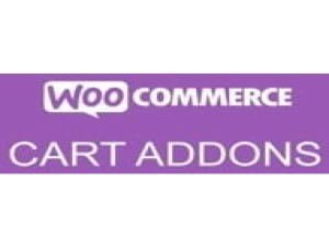 Wtyczka WooCommerce Cart Add-ons