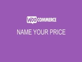 Wtyczka Woocommerce Name Your Price