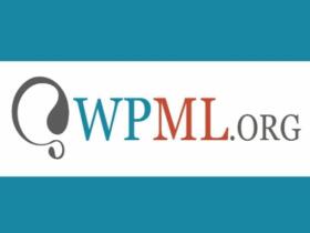 Wtyczka WPML String Translation