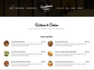 CSS Igniter Carbone Wordpress-Theme-Vorlage