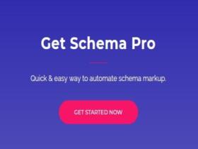 Wtyczka Schema Pro Wordpress Plugin