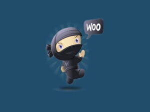 Wtyczka Wp Rich Snippets Woocommerce Reviews Addon