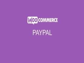 Wtyczka Woocommerce Paypal Pro