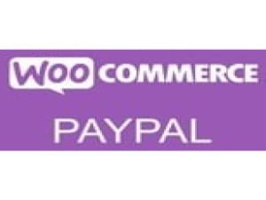Wtyczka Woocommerce Paypal Pro