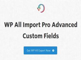 Wtyczka Soflyy WP All Import Pro ACF Advanced Custom Fields