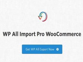 Wtyczka Soflyy WP All Import Pro Woocommerce Addon Wtyczka Soflyy WP All Import Pro Woocommerce Addon
