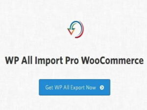 Wtyczka Soflyy WP All Import Pro Woocommerce Addon