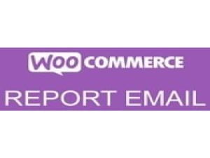 Wtyczka Woocommerce Sales Report Email