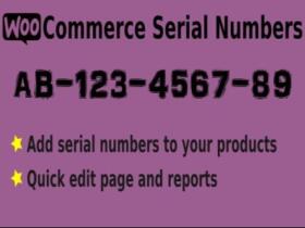 Wtyczka Easy Serial Numbers For Woocommerce – Wordpress Plugin