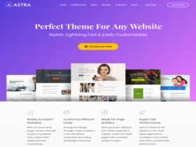 Szablon Astra Wordpress Theme by Brainstorm Force
