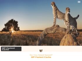 Wtyczka WP Fastest Cache Premium Wtyczka WP Fastest Cache Premium