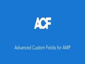 Wtyczka ACF For Amp