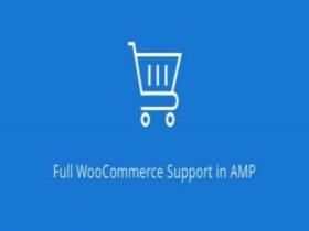Wtyczka Amp Woocommerce Pro