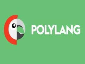 Wtyczka Polylang Pro Wtyczka Polylang Pro