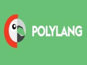 Wtyczka Polylang for WooCommerce Wtyczka Polylang for WooCommerce