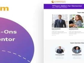 Wtyczka Tfteam – Team Member Widget For Elementor