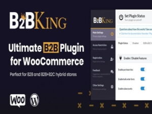 B2BKing Ultimate WooCommerce B2B-Großhandels-Plugin