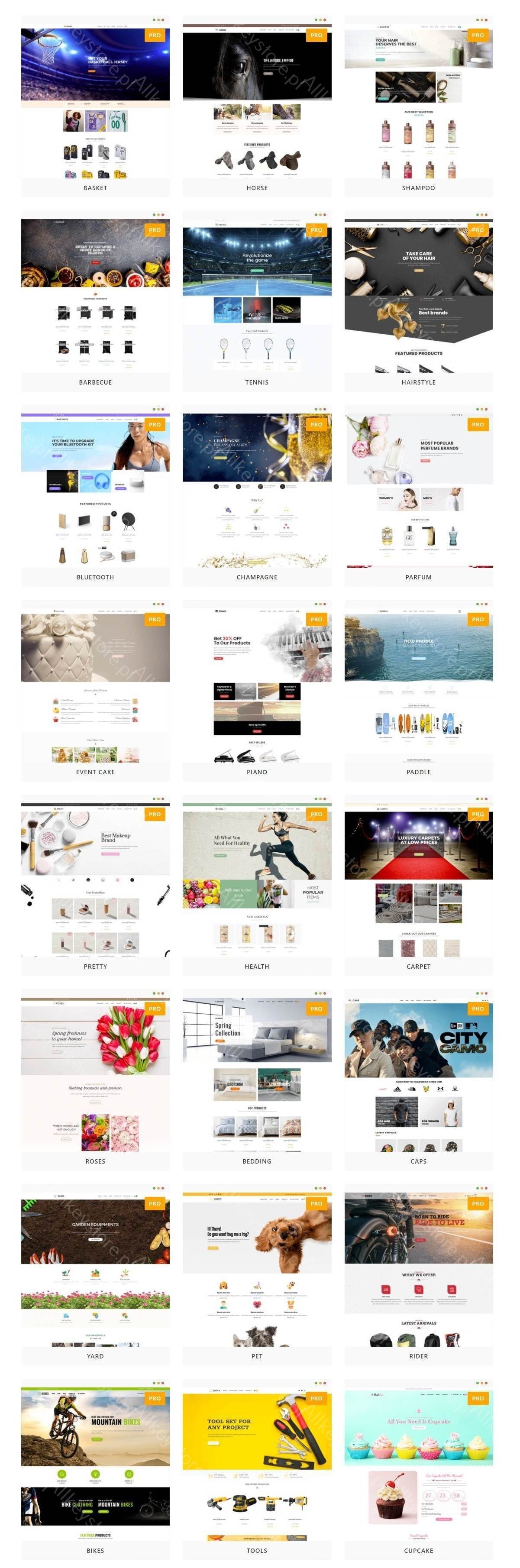 OceanWP-Vorlage + Pro-Demos | WP-Premium-Add-ons-Store Allkeystore.pl