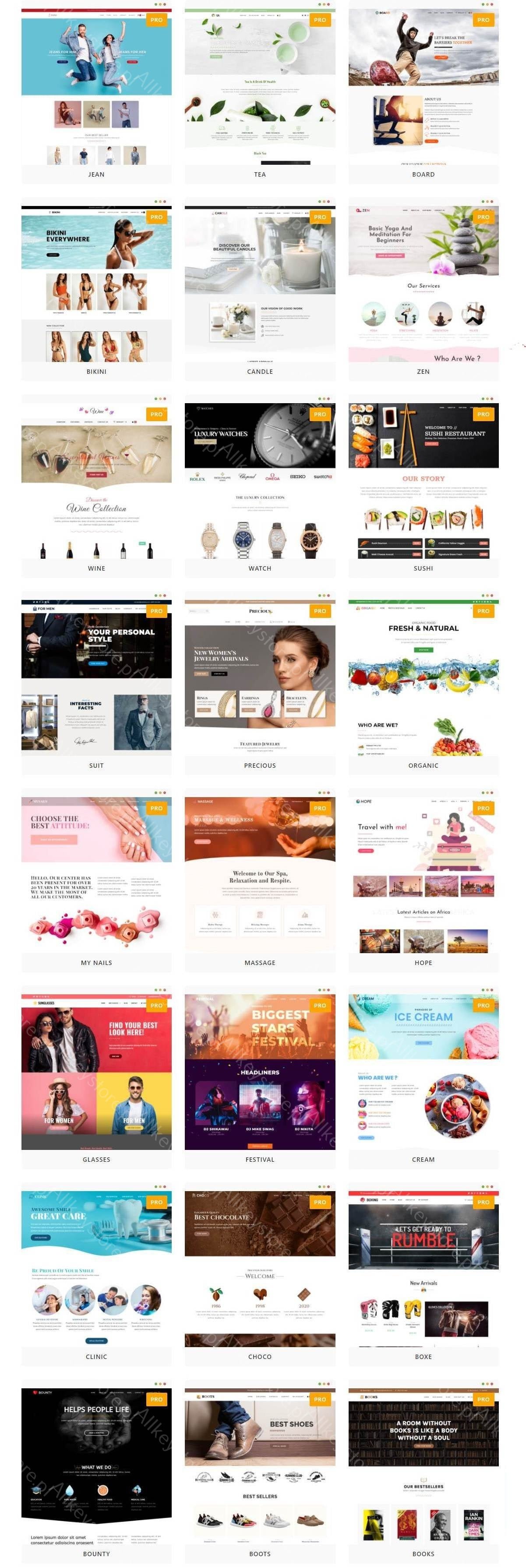 OceanWP-Vorlage + Pro-Demos | WP-Premium-Add-ons-Store Allkeystore.pl