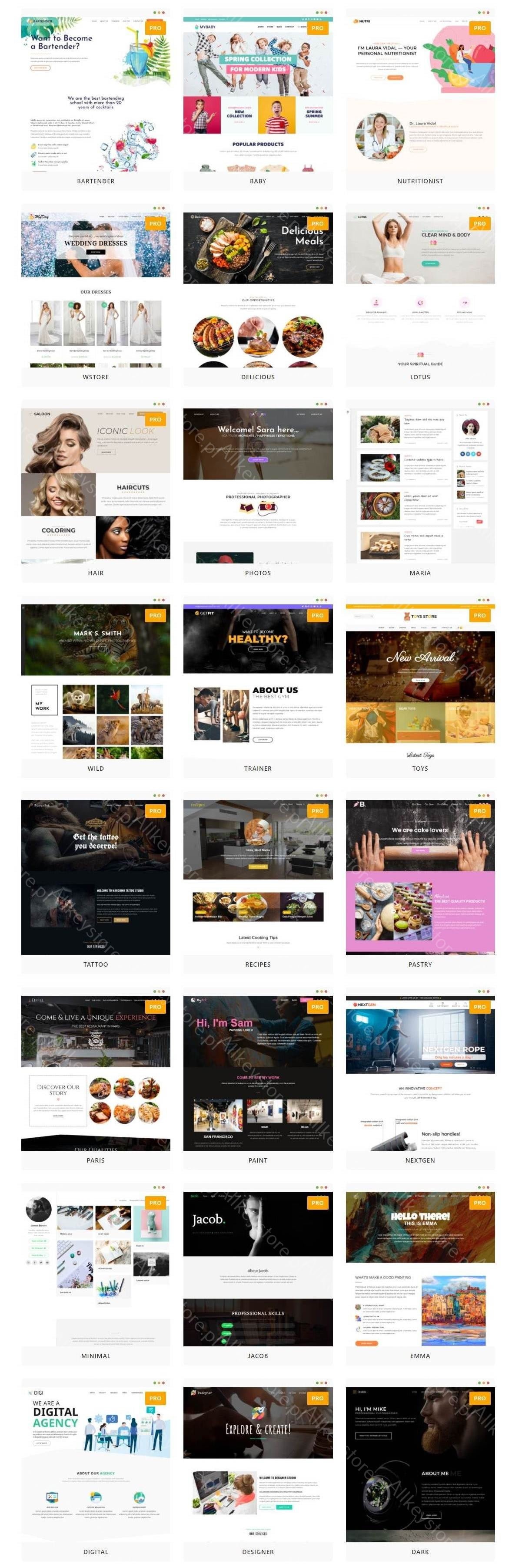 OceanWP-Vorlage + Pro-Demos | WP-Premium-Add-ons-Store Allkeystore.pl