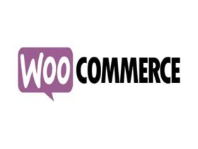Wtyczka Private Store & Website for WooCommerce