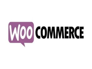 Elementor Connector Plugin für WooCommerce-Buchungen