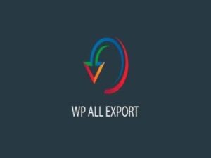 Wtyczka Soflyy WP All Export Pro Woocommerce Addon
