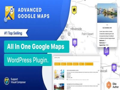 Wtyczka WP MAPS PRO