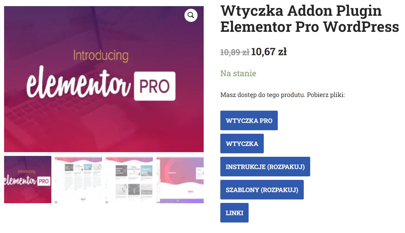 Laden Sie Dateien direkt auf den Produktseiten herunter | WP-Premium-Add-ons-Store Allkeystore.pl