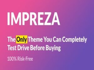 Mehrzweck-Partei-WordPress-Theme-Vorlage