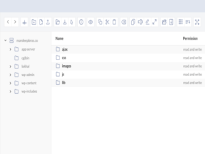 File Manager Pro-Plugin