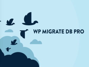 Wtyczka WP Migrate DB Pro + Addons