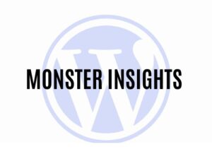 MonsterInsights E-Commerce-Add-on-Plugin