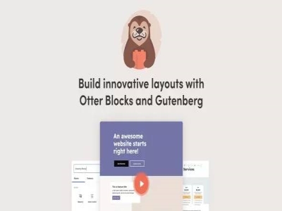 Wtyczka Otter Blocks Pro