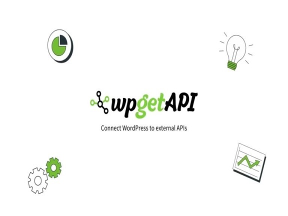 Wtyczka WPGetAPI Pro