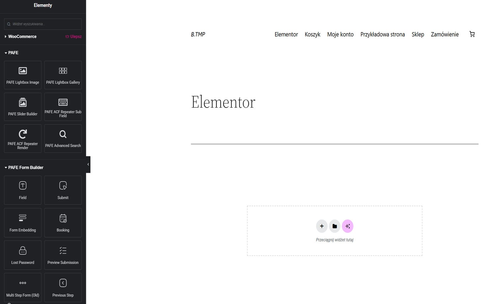 Wtyczka Piotnet Addons For Elementor Pro Panel widgetów Elementora z sekcjami PAFE i PAFE Form Builder zawierającymi widgety: Field, Submit, Form Embedding, Booking, Lost Password, Multi Step Form oraz PAFE Lightbox Image, Slider Builder i Advanced Search