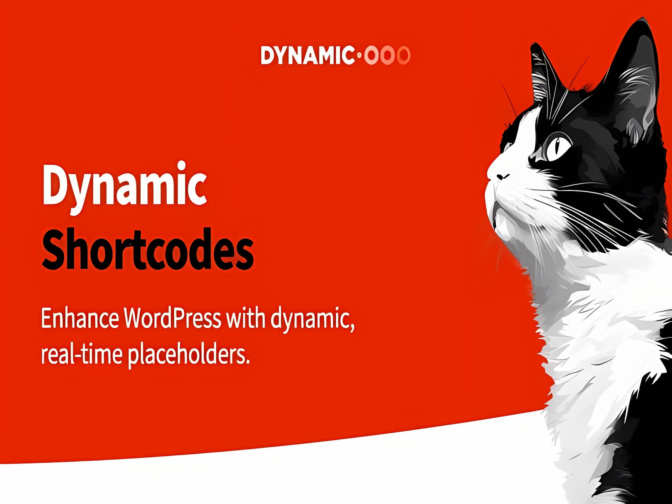 Wtyczka Dynamic.ooo Dynamic Shortcodes Wtyczka Dynamic.ooo Dynamic Shortcodes