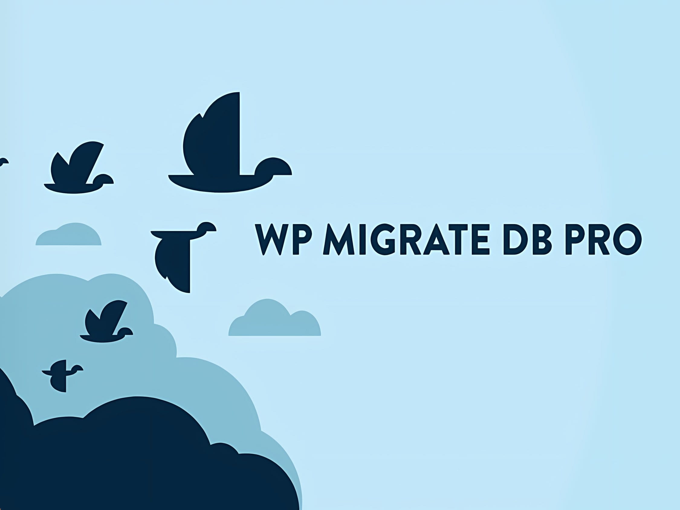 Wtyczka WP Migrate DB Pro + Addons