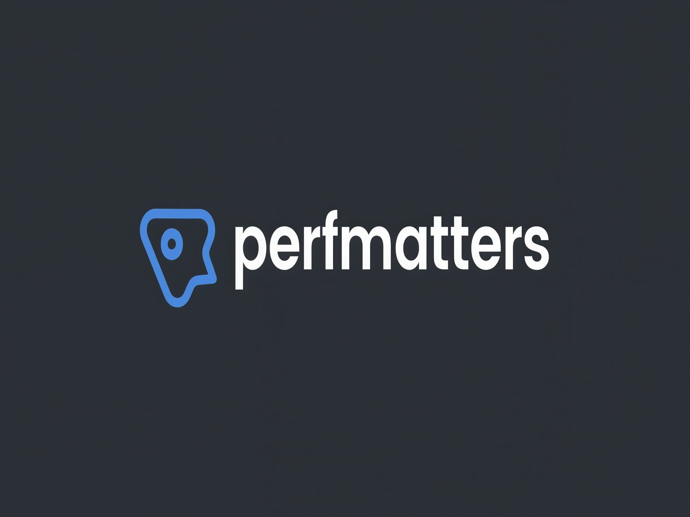 Wtyczka Perfmatters – Lightweight WordPress Performance Plugin Wtyczka Perfmatters – Lightweight WordPress Performance Plugin