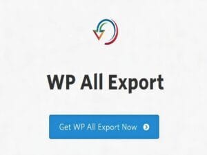 Wtyczka Soflyy WP All Export PRO